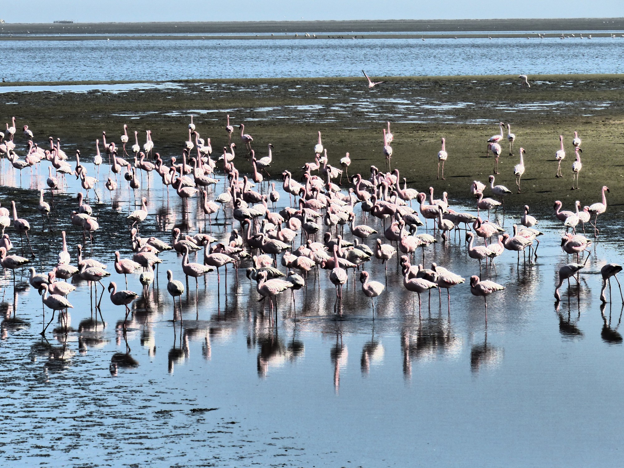 Walvis Bay