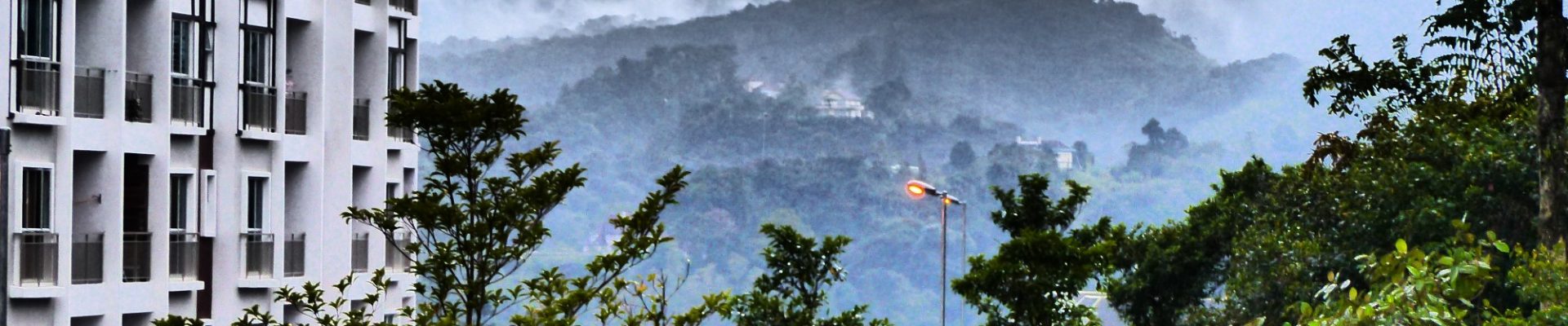 Auf nach Cameron Highlands