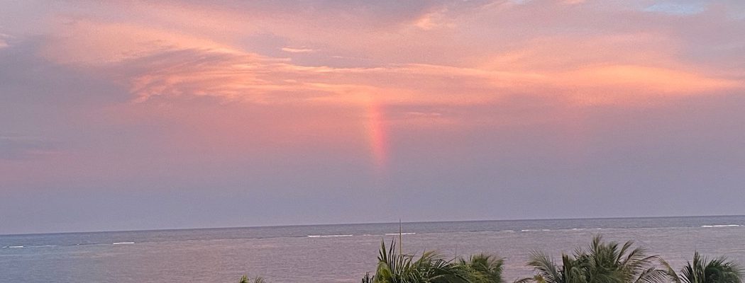 Adios Mexiko 🇲🇽